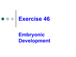 Embryonic Development