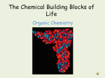 Organic Molecules