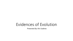 Evidences of Evolution