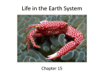 Life in the Earth System