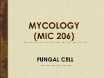 INTRODUCTION TO MYCOLOGY