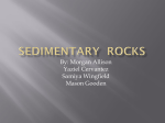 Sedimentary Rocks