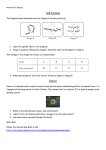 Cell Division - Elgin Academy