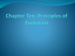 Chapter Ten: Principles of Evolution