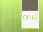 Cell Parts