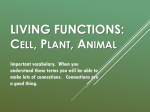 Living Functions - Mr. Coach Risinger 7Y Science