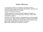 VIRAL - Orthomyxovirus type A