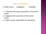 2012 Exercise and Trunk Muscles