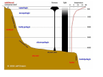 Polar Ecology