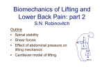 Biomechanics Of Lifting And Lower Back Pain: Part 2