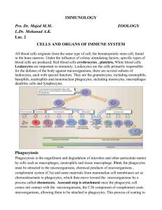 Phagocytosis