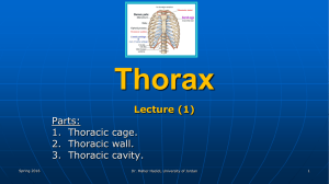 Lecture (1) Parts: 1. Thoracic cage. 2. Thoracic wall. 3. Thoracic cavity.