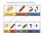 Classification - Pleasant Grove High School