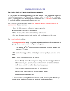 SEX-RELATED INHERITANCE