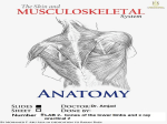 Fibular notch Medial malleolus Medial border Lower end Inferior