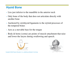 Chapter 7 Part I Additional Slides