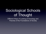 Sociological Schools of Thought