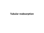 Tubular reabsorption