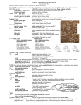 13_skeleton_lower_appendicular-04oct2016