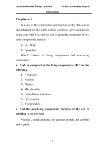 The Cell wall