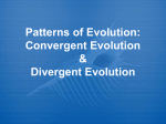 Patterns of Evolution: Convergent Evolution vs. Divergent Evolution