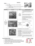 Pediatric Hip