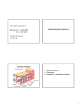 Cardiovascular System 2 Cardiac muscle