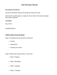 Cell Division Notes