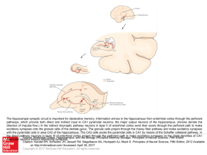 Slide ()