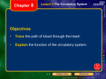 Lesson 5 The Circulatory System Chapter 8