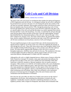 Cell Cycle and Cell Division