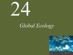 Global Ecology