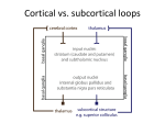 Basal ganglia: action selection