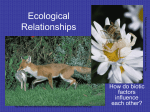 Ecological Relationships