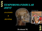 Mandibular movements