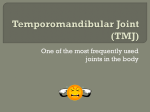 Temporomandibular Joint (TMJ)