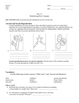 Asexual and Sexual Reproduction