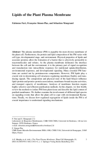 Lipids of the Plant Plasma Membrane