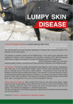 Lumpy Skin Disease