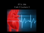 Comparative Structure of Artery and Vein Vessel Walls