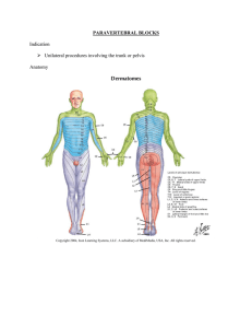 Paravertebral Blocks