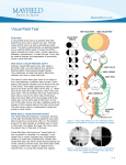 Visual Field Test