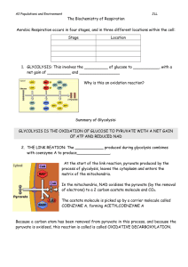 A2 Populations and Environment JLL The Biochemistry of R