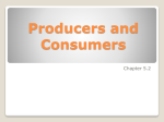 Producers and Consumers