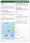 anaerobic respiration