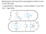 Heat shock proteins