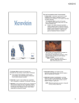 There are five potential causes of microevolution 1. Genetic drift is a