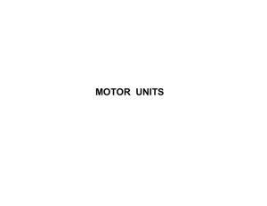 Handouts - motor units