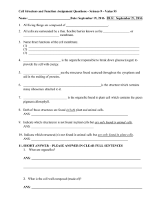 cell_structure_and_function_assignment_questions_value_55