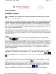 Bronchial Anatomy